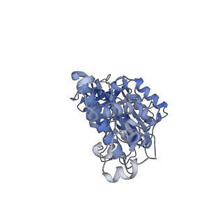 21317_6vq6_F_v1-1
Mammalian V-ATPase from rat brain - composite model of rotational state 1 bound to ADP and SidK (built from focused refinement models)