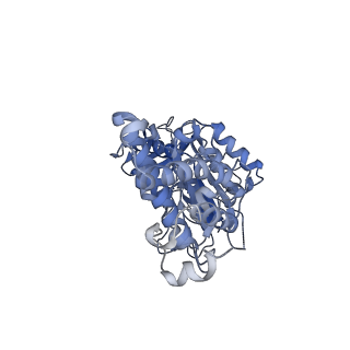 21317_6vq6_F_v1-2
Mammalian V-ATPase from rat brain - composite model of rotational state 1 bound to ADP and SidK (built from focused refinement models)