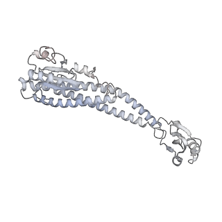 21317_6vq6_G_v1-2
Mammalian V-ATPase from rat brain - composite model of rotational state 1 bound to ADP and SidK (built from focused refinement models)