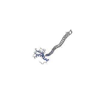21317_6vq6_K_v1-1
Mammalian V-ATPase from rat brain - composite model of rotational state 1 bound to ADP and SidK (built from focused refinement models)