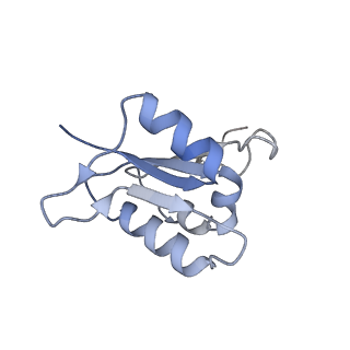 21317_6vq6_L_v1-1
Mammalian V-ATPase from rat brain - composite model of rotational state 1 bound to ADP and SidK (built from focused refinement models)