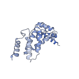 21317_6vq6_Q_v1-1
Mammalian V-ATPase from rat brain - composite model of rotational state 1 bound to ADP and SidK (built from focused refinement models)