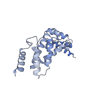 21317_6vq6_Q_v1-2
Mammalian V-ATPase from rat brain - composite model of rotational state 1 bound to ADP and SidK (built from focused refinement models)