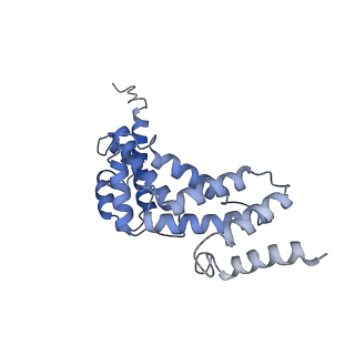 21317_6vq6_S_v1-1
Mammalian V-ATPase from rat brain - composite model of rotational state 1 bound to ADP and SidK (built from focused refinement models)