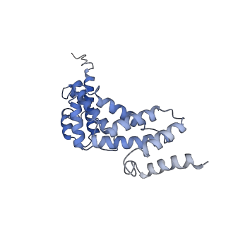 21317_6vq6_S_v1-2
Mammalian V-ATPase from rat brain - composite model of rotational state 1 bound to ADP and SidK (built from focused refinement models)