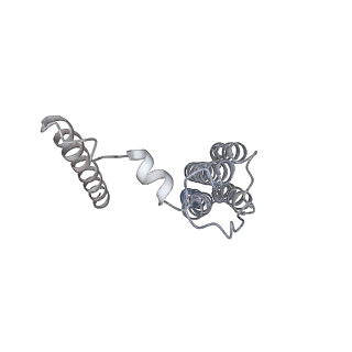 21317_6vq6_b_v1-2
Mammalian V-ATPase from rat brain - composite model of rotational state 1 bound to ADP and SidK (built from focused refinement models)