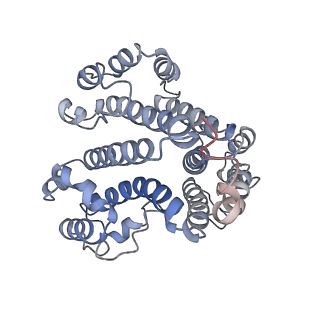 21317_6vq6_d_v1-2
Mammalian V-ATPase from rat brain - composite model of rotational state 1 bound to ADP and SidK (built from focused refinement models)