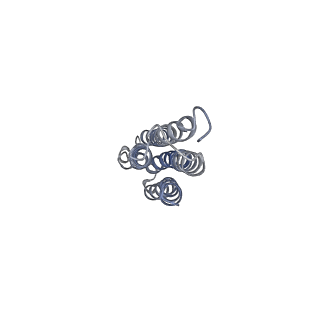 21317_6vq6_j_v1-2
Mammalian V-ATPase from rat brain - composite model of rotational state 1 bound to ADP and SidK (built from focused refinement models)