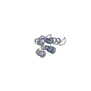 21317_6vq6_k_v1-2
Mammalian V-ATPase from rat brain - composite model of rotational state 1 bound to ADP and SidK (built from focused refinement models)