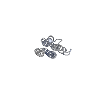 21317_6vq6_l_v1-2
Mammalian V-ATPase from rat brain - composite model of rotational state 1 bound to ADP and SidK (built from focused refinement models)