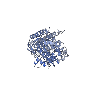 21318_6vq7_A_v1-2
Mammalian V-ATPase from rat brain - composite model of rotational state 2 bound to ADP and SidK (built from focused refinement models)