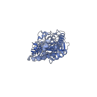 21318_6vq7_B_v1-1
Mammalian V-ATPase from rat brain - composite model of rotational state 2 bound to ADP and SidK (built from focused refinement models)