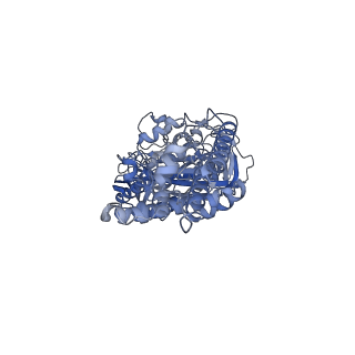 21318_6vq7_B_v1-2
Mammalian V-ATPase from rat brain - composite model of rotational state 2 bound to ADP and SidK (built from focused refinement models)