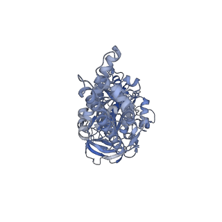 21318_6vq7_C_v1-1
Mammalian V-ATPase from rat brain - composite model of rotational state 2 bound to ADP and SidK (built from focused refinement models)