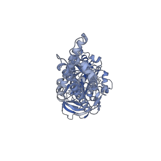 21318_6vq7_C_v1-2
Mammalian V-ATPase from rat brain - composite model of rotational state 2 bound to ADP and SidK (built from focused refinement models)