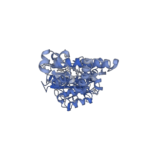 21318_6vq7_D_v1-1
Mammalian V-ATPase from rat brain - composite model of rotational state 2 bound to ADP and SidK (built from focused refinement models)