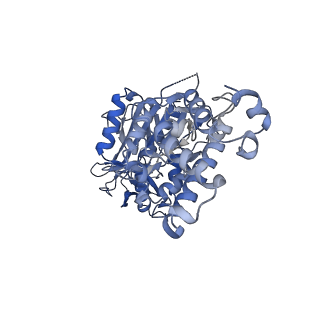 21318_6vq7_E_v1-2
Mammalian V-ATPase from rat brain - composite model of rotational state 2 bound to ADP and SidK (built from focused refinement models)