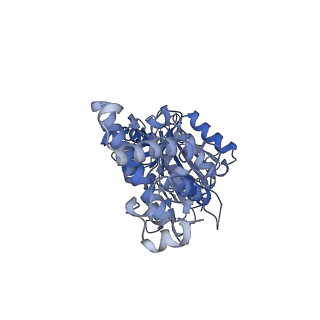 21318_6vq7_F_v1-1
Mammalian V-ATPase from rat brain - composite model of rotational state 2 bound to ADP and SidK (built from focused refinement models)