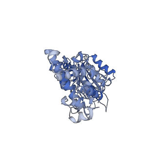 21318_6vq7_F_v1-2
Mammalian V-ATPase from rat brain - composite model of rotational state 2 bound to ADP and SidK (built from focused refinement models)