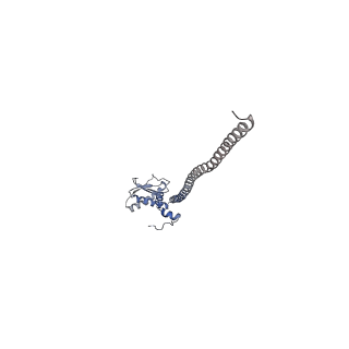 21318_6vq7_K_v1-2
Mammalian V-ATPase from rat brain - composite model of rotational state 2 bound to ADP and SidK (built from focused refinement models)