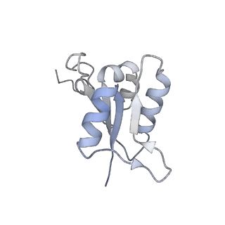 21318_6vq7_L_v1-1
Mammalian V-ATPase from rat brain - composite model of rotational state 2 bound to ADP and SidK (built from focused refinement models)