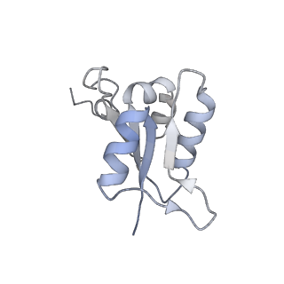 21318_6vq7_L_v1-2
Mammalian V-ATPase from rat brain - composite model of rotational state 2 bound to ADP and SidK (built from focused refinement models)