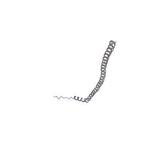 21318_6vq7_O_v1-2
Mammalian V-ATPase from rat brain - composite model of rotational state 2 bound to ADP and SidK (built from focused refinement models)