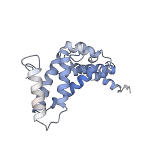 21318_6vq7_Q_v1-2
Mammalian V-ATPase from rat brain - composite model of rotational state 2 bound to ADP and SidK (built from focused refinement models)