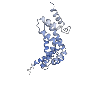 21318_6vq7_R_v1-1
Mammalian V-ATPase from rat brain - composite model of rotational state 2 bound to ADP and SidK (built from focused refinement models)