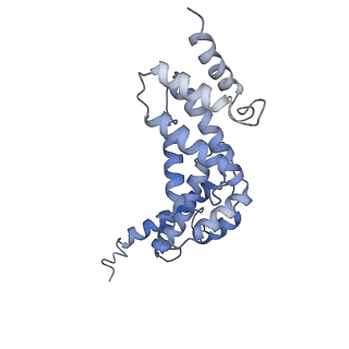 21318_6vq7_R_v1-2
Mammalian V-ATPase from rat brain - composite model of rotational state 2 bound to ADP and SidK (built from focused refinement models)