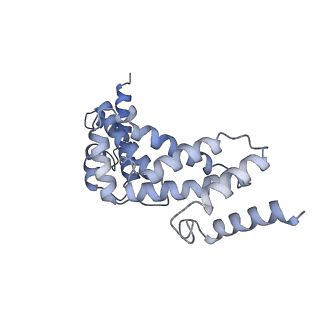 21318_6vq7_S_v1-1
Mammalian V-ATPase from rat brain - composite model of rotational state 2 bound to ADP and SidK (built from focused refinement models)