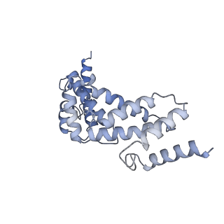 21318_6vq7_S_v1-2
Mammalian V-ATPase from rat brain - composite model of rotational state 2 bound to ADP and SidK (built from focused refinement models)