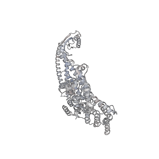 21318_6vq7_a_v1-2
Mammalian V-ATPase from rat brain - composite model of rotational state 2 bound to ADP and SidK (built from focused refinement models)