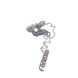 21318_6vq7_b_v1-2
Mammalian V-ATPase from rat brain - composite model of rotational state 2 bound to ADP and SidK (built from focused refinement models)