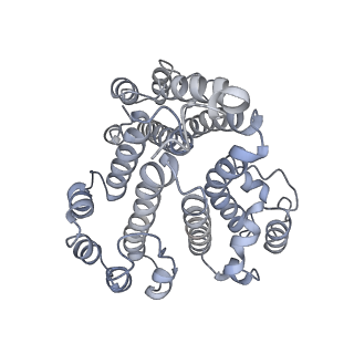 21318_6vq7_d_v1-2
Mammalian V-ATPase from rat brain - composite model of rotational state 2 bound to ADP and SidK (built from focused refinement models)