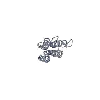 21318_6vq7_n_v1-2
Mammalian V-ATPase from rat brain - composite model of rotational state 2 bound to ADP and SidK (built from focused refinement models)