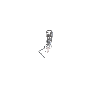 21318_6vq7_p_v1-2
Mammalian V-ATPase from rat brain - composite model of rotational state 2 bound to ADP and SidK (built from focused refinement models)