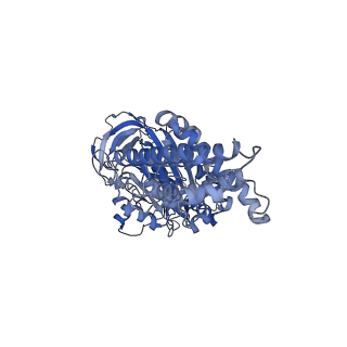 21319_6vq8_A_v1-1
Mammalian V-ATPase from rat brain - composite model of rotational state 3 bound to ADP and SidK (built from focused refinement models)