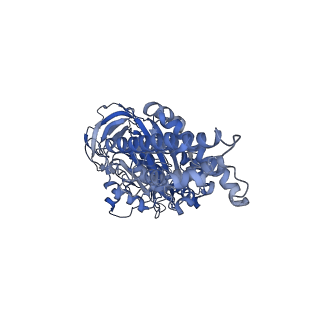 21319_6vq8_A_v1-2
Mammalian V-ATPase from rat brain - composite model of rotational state 3 bound to ADP and SidK (built from focused refinement models)