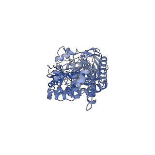 21319_6vq8_B_v1-1
Mammalian V-ATPase from rat brain - composite model of rotational state 3 bound to ADP and SidK (built from focused refinement models)