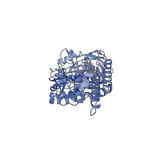 21319_6vq8_B_v1-2
Mammalian V-ATPase from rat brain - composite model of rotational state 3 bound to ADP and SidK (built from focused refinement models)