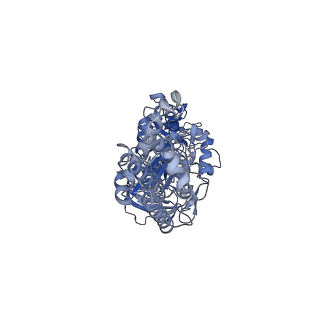 21319_6vq8_C_v1-1
Mammalian V-ATPase from rat brain - composite model of rotational state 3 bound to ADP and SidK (built from focused refinement models)
