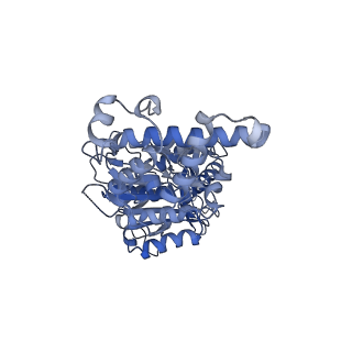 21319_6vq8_D_v1-1
Mammalian V-ATPase from rat brain - composite model of rotational state 3 bound to ADP and SidK (built from focused refinement models)