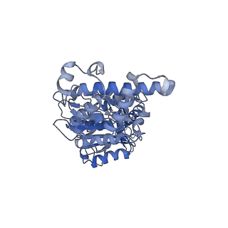 21319_6vq8_D_v1-2
Mammalian V-ATPase from rat brain - composite model of rotational state 3 bound to ADP and SidK (built from focused refinement models)