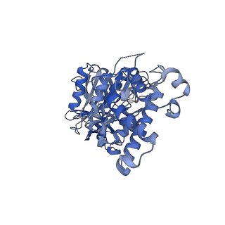 21319_6vq8_E_v1-2
Mammalian V-ATPase from rat brain - composite model of rotational state 3 bound to ADP and SidK (built from focused refinement models)