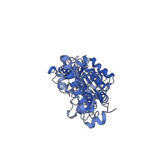 21319_6vq8_F_v1-1
Mammalian V-ATPase from rat brain - composite model of rotational state 3 bound to ADP and SidK (built from focused refinement models)