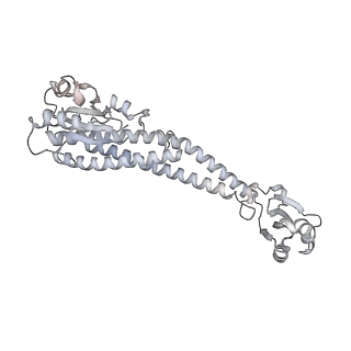 21319_6vq8_G_v1-2
Mammalian V-ATPase from rat brain - composite model of rotational state 3 bound to ADP and SidK (built from focused refinement models)