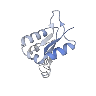 21319_6vq8_L_v1-1
Mammalian V-ATPase from rat brain - composite model of rotational state 3 bound to ADP and SidK (built from focused refinement models)