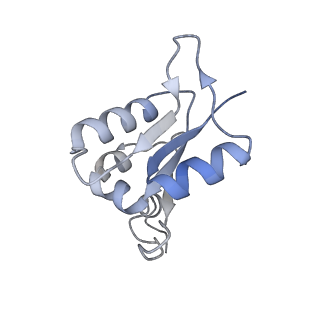 21319_6vq8_L_v1-2
Mammalian V-ATPase from rat brain - composite model of rotational state 3 bound to ADP and SidK (built from focused refinement models)