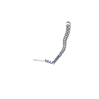 21319_6vq8_O_v1-2
Mammalian V-ATPase from rat brain - composite model of rotational state 3 bound to ADP and SidK (built from focused refinement models)